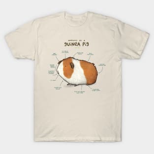 Anatomy of a Guinea Pig T-Shirt